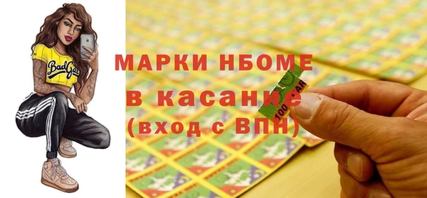 прущие грибы Рославль