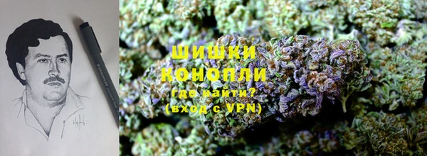 ПСИЛОЦИБИНОВЫЕ ГРИБЫ Арсеньев
