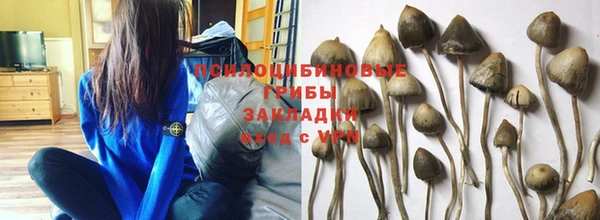 спайс Алзамай