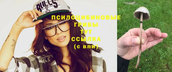 ПСИЛОЦИБИНОВЫЕ ГРИБЫ Арсеньев