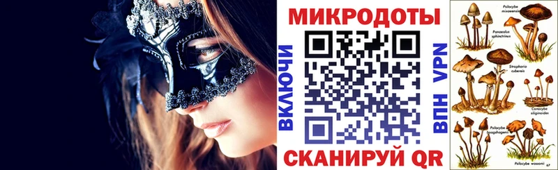 Псилоцибиновые грибы Psilocybe  блэк спрут   Сибай 
